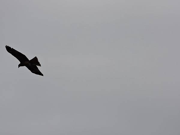 20150307 (6).JPG