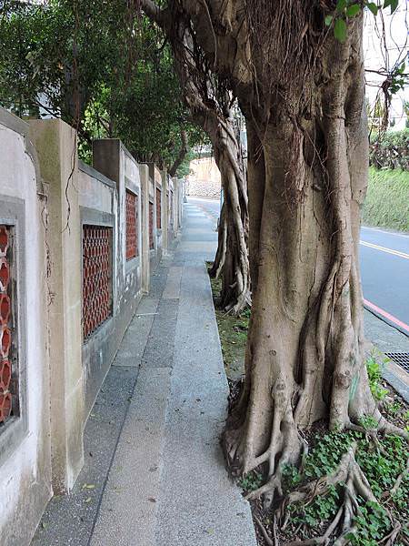 DSCN1257.JPG