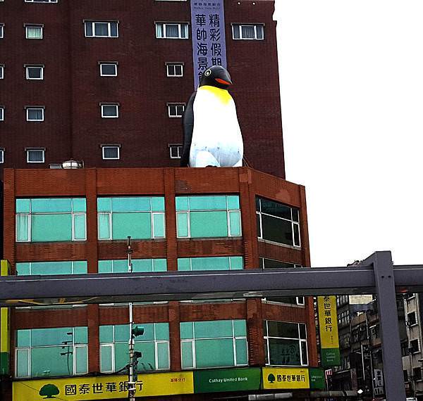 20170330_122559.jpg