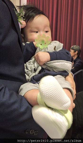 DSCN8931.jpg