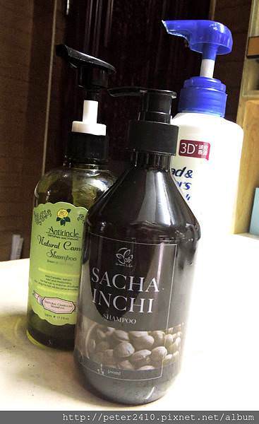 DSCN6091.jpg