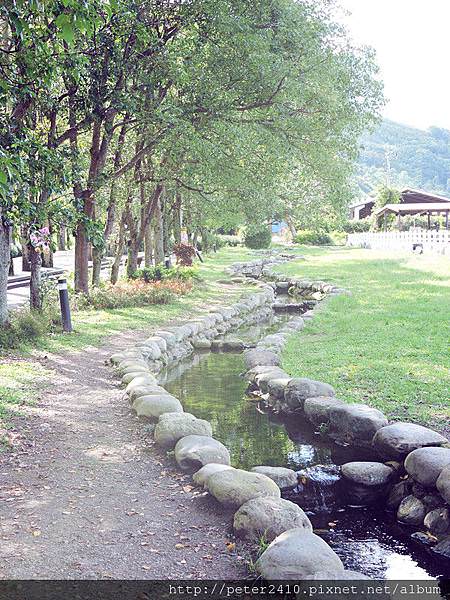 f_12431327_1.JPG