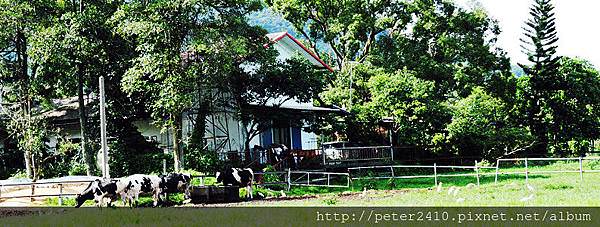 f_12431328_1.JPG
