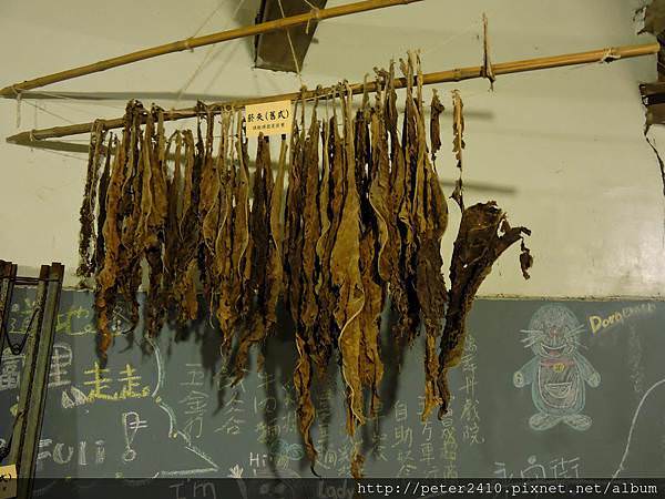 DSCN7047.jpg