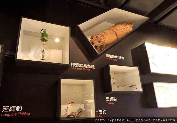 DSCN6737.jpg