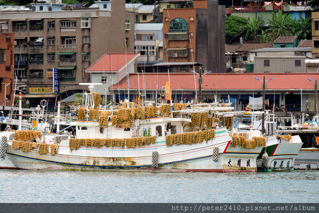 DSCN6833.jpg