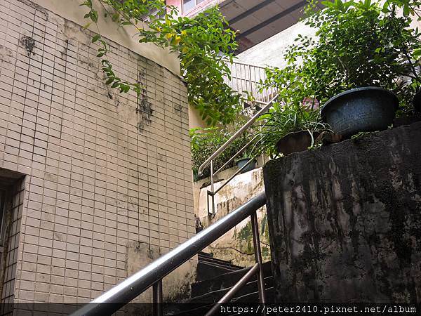 DSCN9738.jpg