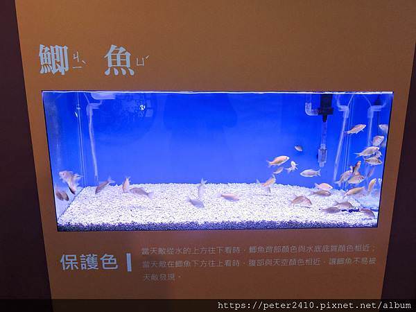 DSCN3879.jpg