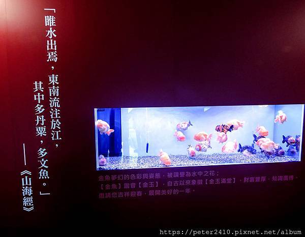 DSCN3876.jpg