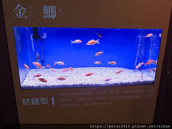 DSCN3880.jpg
