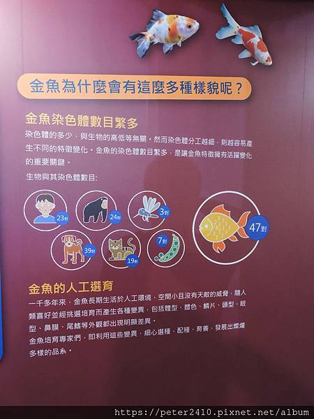 DSCN3882.jpg