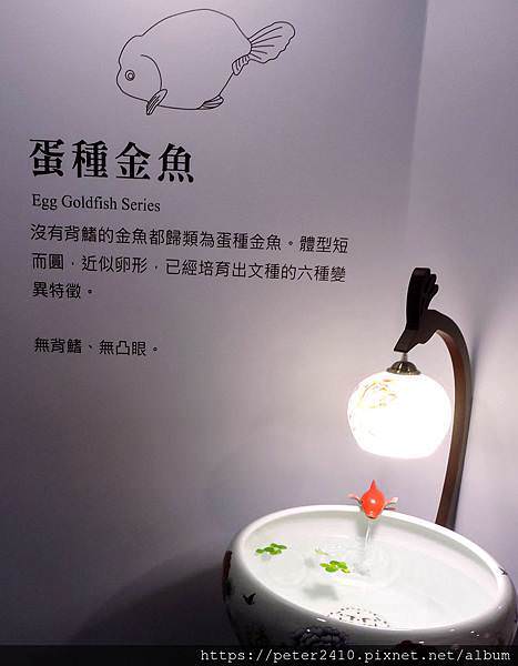 DSCN3888.jpg