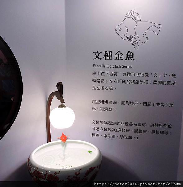 DSCN3891.jpg