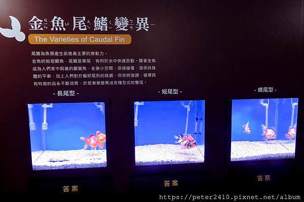 DSCN3910.jpg