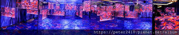 DSCN3922.jpg