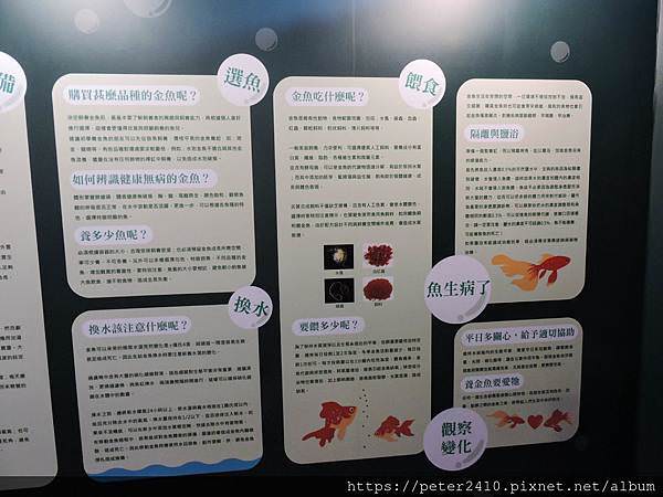 DSCN3927.jpg