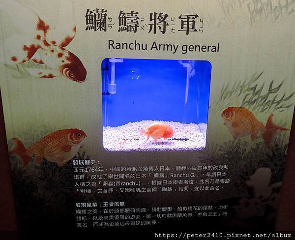 DSCN3925.jpg