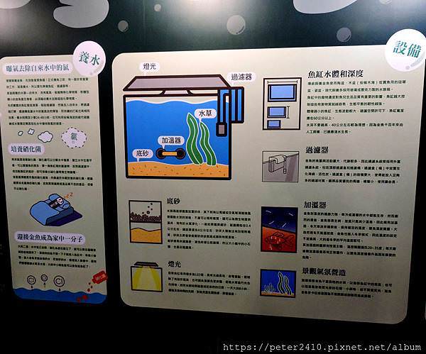 DSCN3928.jpg