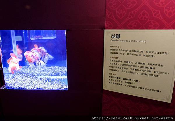 DSCN3933.jpg