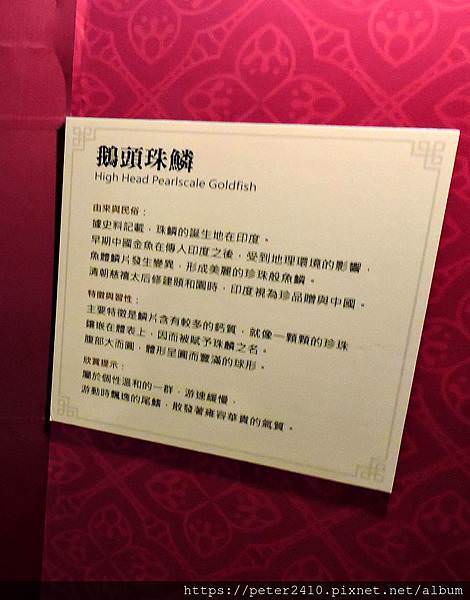 DSCN3939.jpg