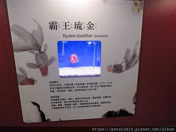 DSCN3944.jpg