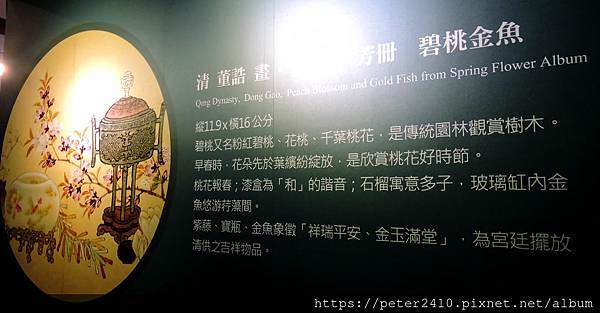 DSCN3989.jpg