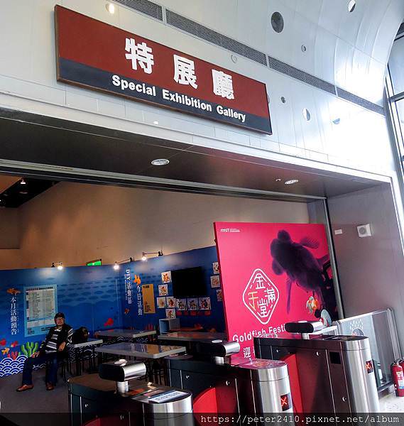 DSCN3996.jpg