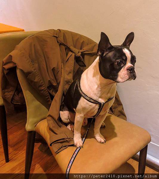 DSCN5577.jpg