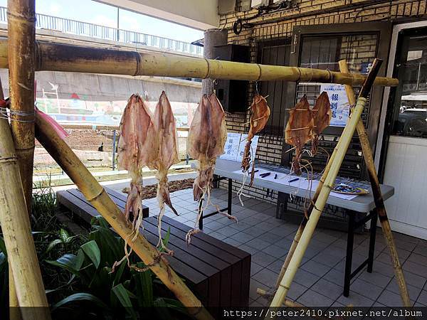 與斜槓漁夫共遊海上生態 (8).jpg