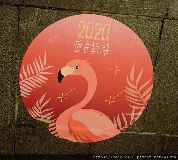 2020碧潭水舞 (39).JPG
