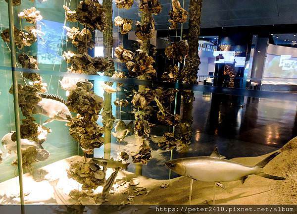 海科館-海洋環境廳(8).jpg