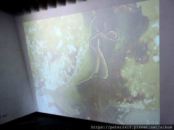海科館區域探索館 (22).JPG