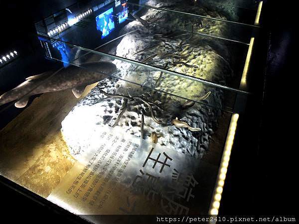 八斗子漁村小旅行 (4).JPG