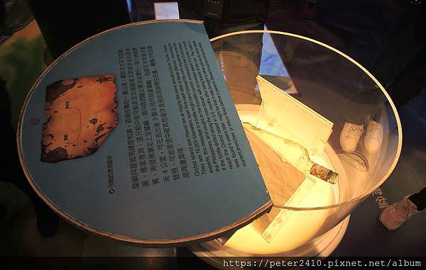 八斗子漁村小旅行 (10).JPG