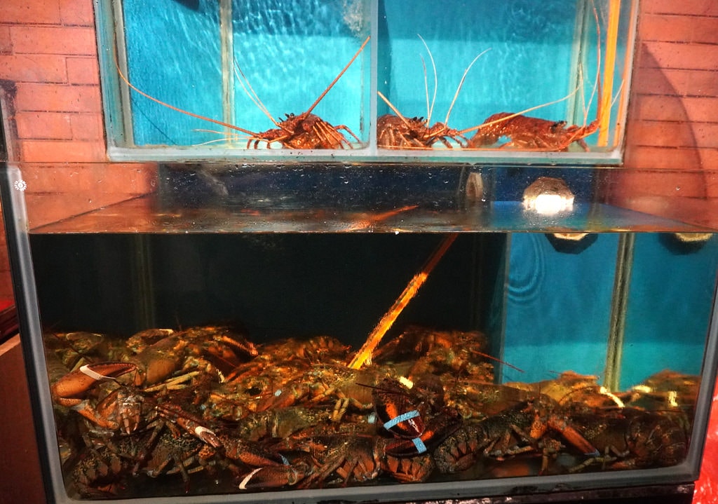 香川精緻鐵板燒 (4).JPG