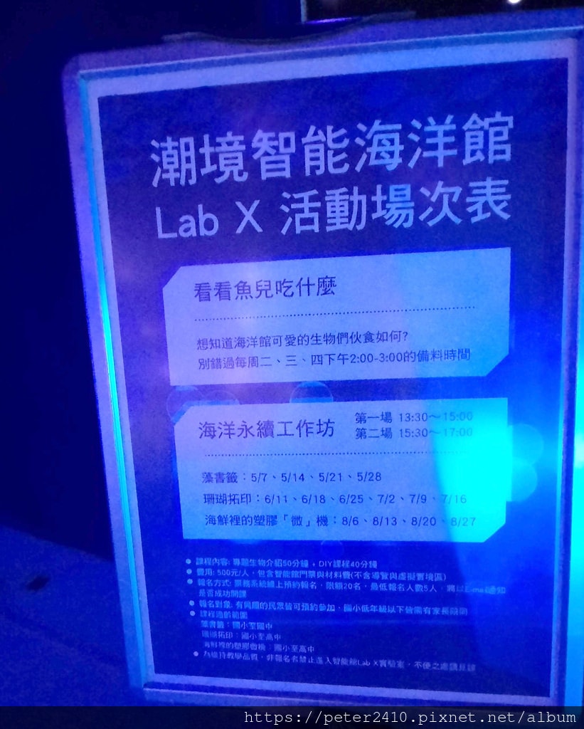 二訪潮境智能海洋館 (7).jpg