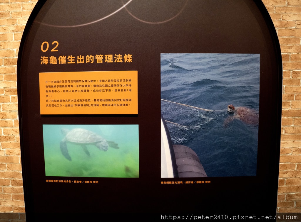 2022城市博覽會C展區｜海之聲 (15).jpg