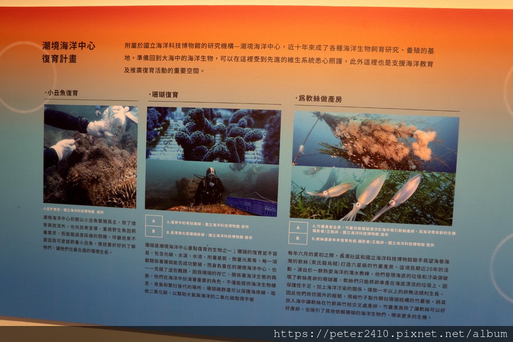 2022城市博覽會C展區｜海之聲 (31).jpg