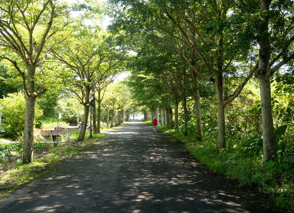 四十甲休閒區 (2).jpg