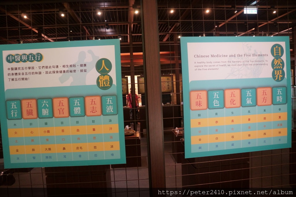 勝昌中草藥探索館 (24).JPG