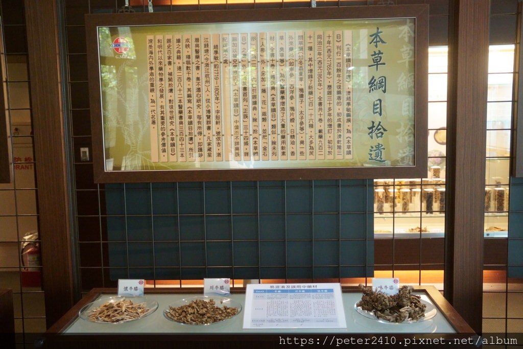 勝昌中草藥探索館 (29).JPG
