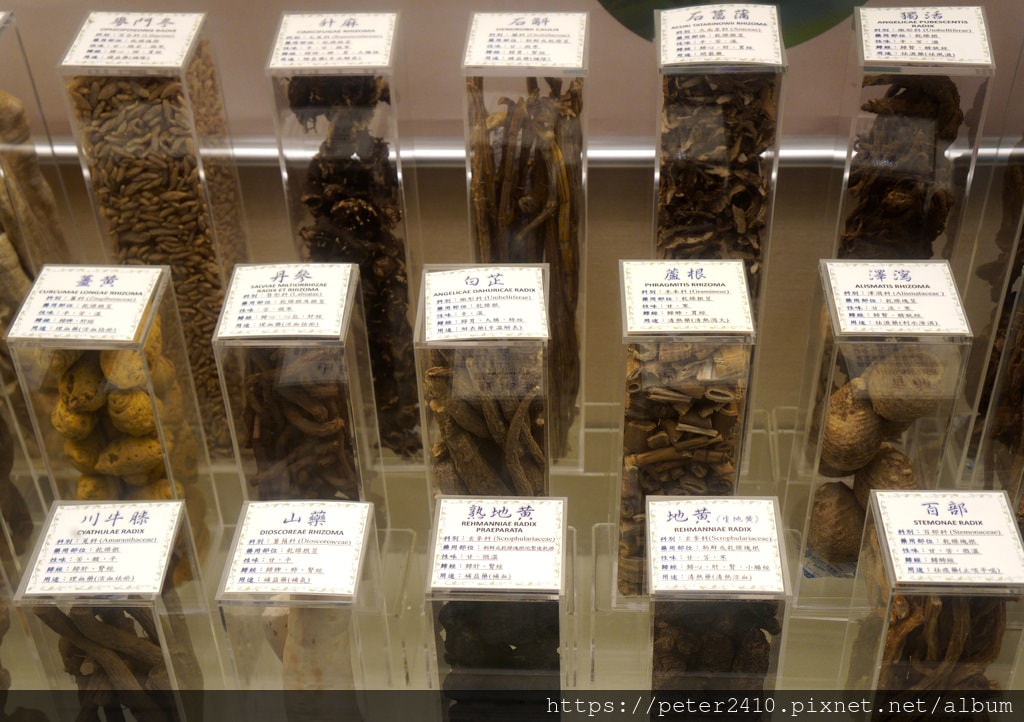 勝昌中草藥探索館 (12).JPG