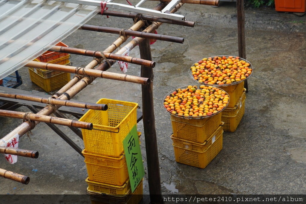 味衛佳柿餅教育農園 (18).JPG