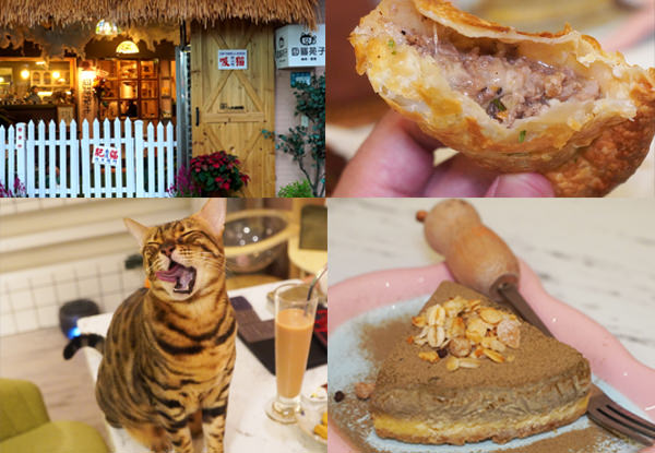 【新北市】囧貓苑子｜超人氣貓咖啡廳推薦，店家自製餐點有水準，