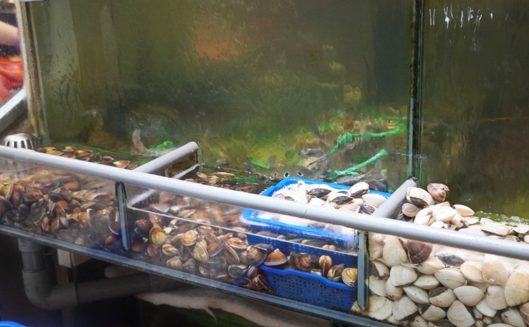 台中美食|梧棲來來海鮮餐廳|超人氣聚餐餐廳,料理澎拜豐盛,假日停車場一位難求 - 第8張圖