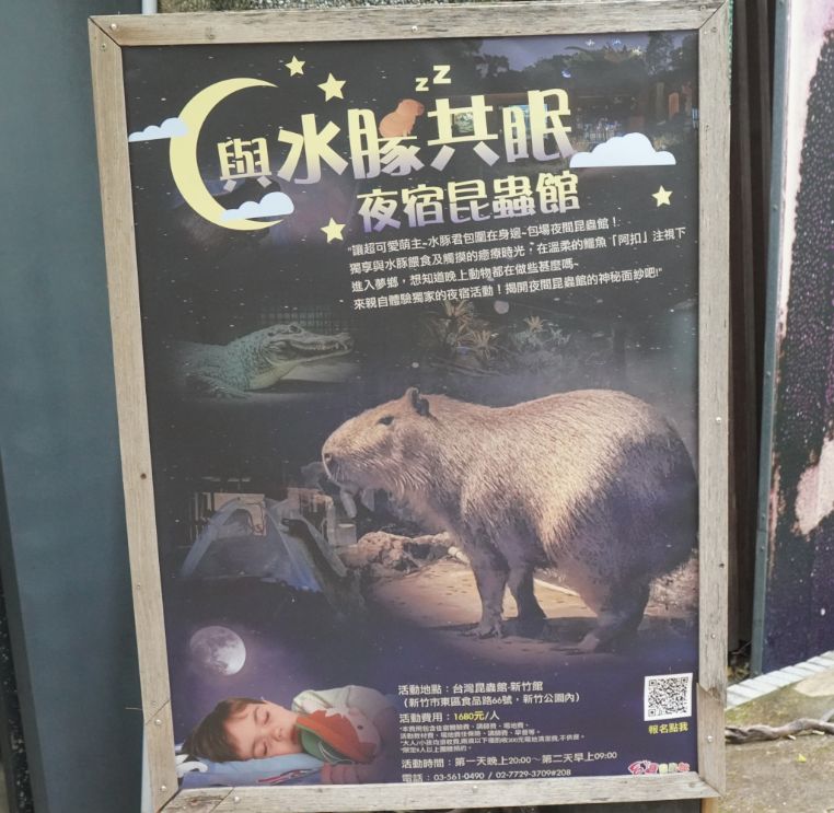 新竹觀光巴士遊新竹|假日免費暢遊舊城巡禮線,文史導覽超精彩,親子DIY體驗熱鬧又好玩 - 第57張圖