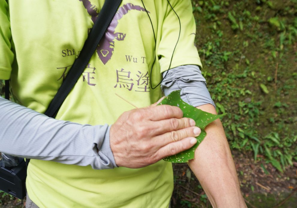 石碇一日遊|第三屆百人植物染|淡蘭古道走讀,體驗拉麵線,感受薯榔染的魅力 - 第14張圖 石碇一日遊|第三屆百人植物染|淡蘭古道走讀,體驗拉麵線,感受薯榔染的魅力