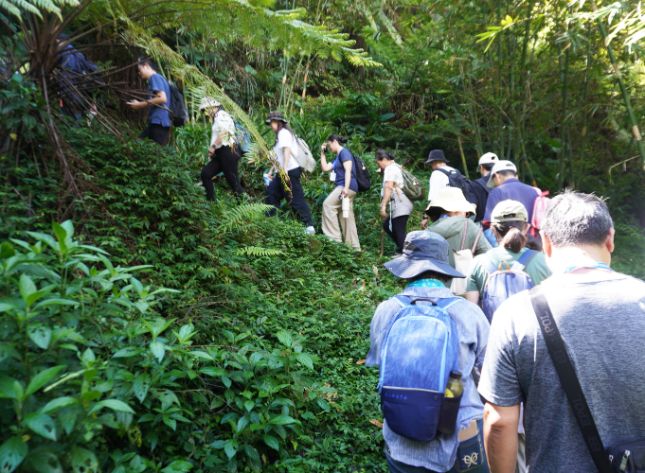 石碇一日遊|第三屆百人植物染|淡蘭古道走讀,體驗拉麵線,感受薯榔染的魅力 - 第17張圖 石碇一日遊|第三屆百人植物染|淡蘭古道走讀,體驗拉麵線,感受薯榔染的魅力