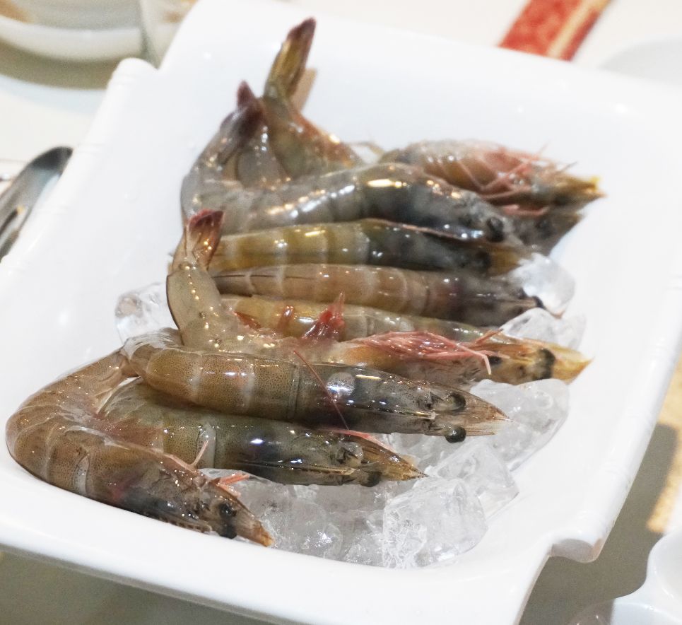 台東市美食|夫妻肺片鴛鴦麻辣火鍋|在地30年人氣麻辣鍋店,湯頭香麻濃郁,食材新鮮,麻辣乾拌麵推薦必點 - 第23張圖