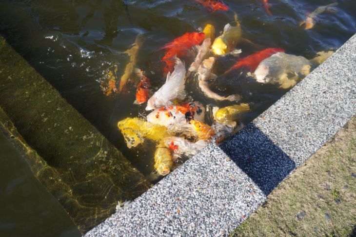 開團｜村却國際溫泉酒店｜羅東溫泉飯店推薦，雙湯池，百萬夜景，明廚百匯吃到飽，情侶約會首選